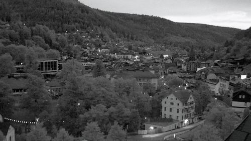 Webcam Bad Wildbad