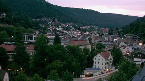 Webcam Bad Wildbad