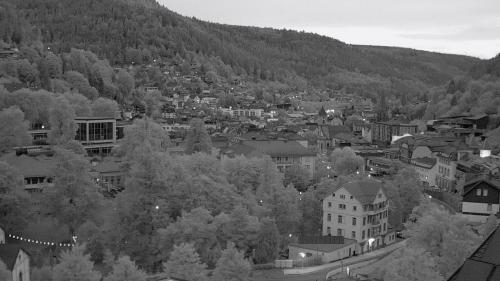 Webcam Bad Wildbad