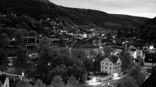 Webcam Bad Wildbad