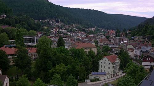 Webcam Bad Wildbad