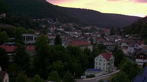 Webcam Bad Wildbad