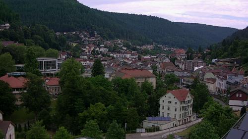 Webcam Bad Wildbad