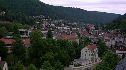 Webcam Bad Wildbad