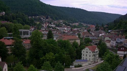 Webcam Bad Wildbad
