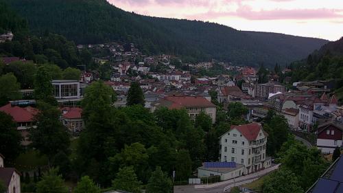Webcam Bad Wildbad