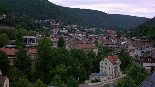 Webcam Bad Wildbad