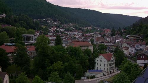 Webcam Bad Wildbad