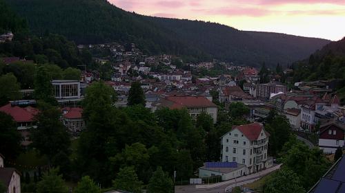 Webcam Bad Wildbad