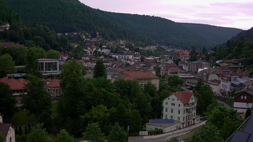 Webcam Bad Wildbad