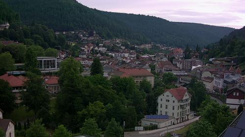 Webcam Bad Wildbad