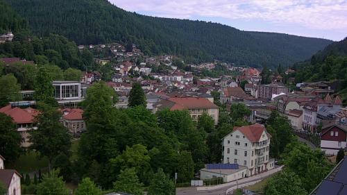 Webcam Bad Wildbad