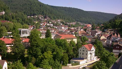 Webcam Bad Wildbad