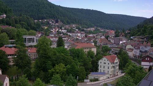 Webcam Bad Wildbad