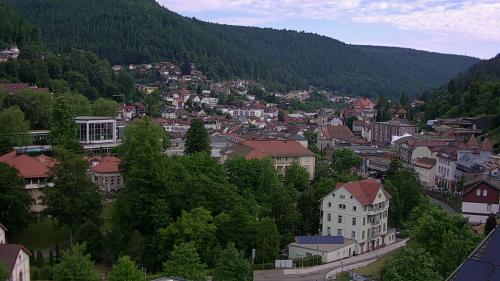 Webcam Bad Wildbad