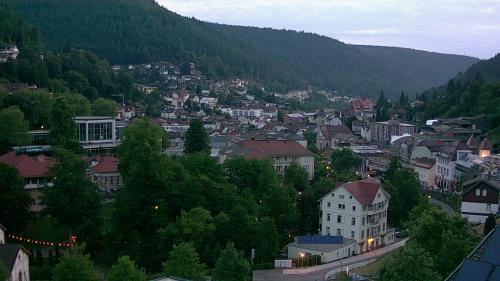Webcam Bad Wildbad