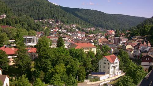 Webcam Bad Wildbad
