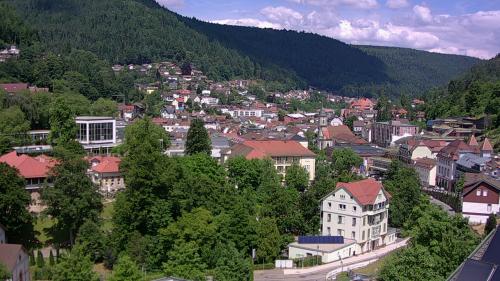 Webcam Bad Wildbad