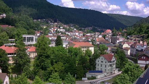 Webcam Bad Wildbad