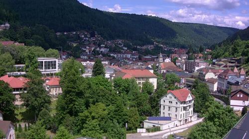 Webcam Bad Wildbad