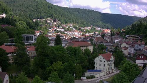 Webcam Bad Wildbad