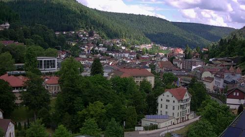 Webcam Bad Wildbad