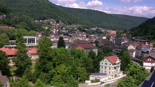 Webcam Bad Wildbad