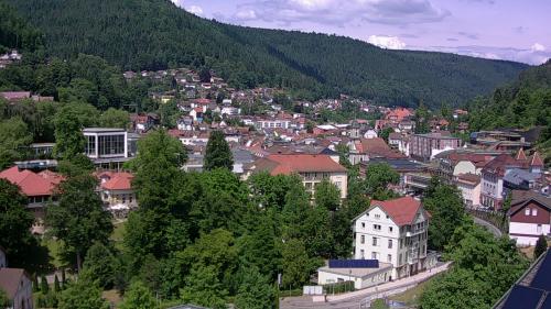 Webcam Bad Wildbad