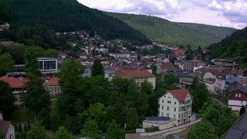 Webcam Bad Wildbad