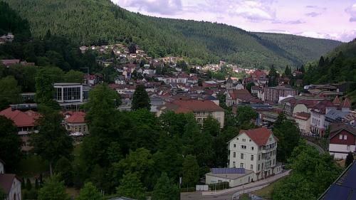 Webcam Bad Wildbad