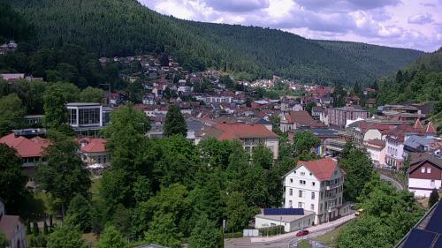Webcam Bad Wildbad
