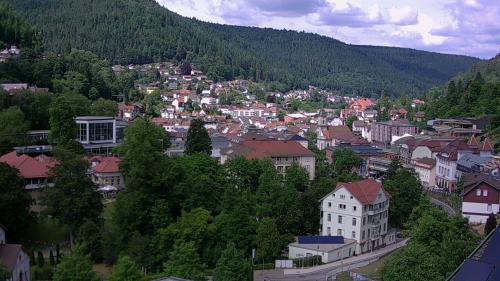 Webcam Bad Wildbad