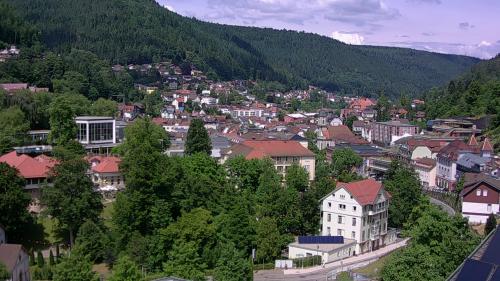 Webcam Bad Wildbad