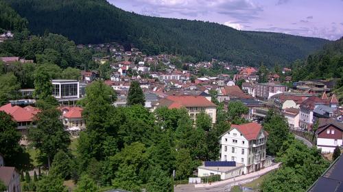 Webcam Bad Wildbad