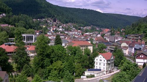 Webcam Bad Wildbad