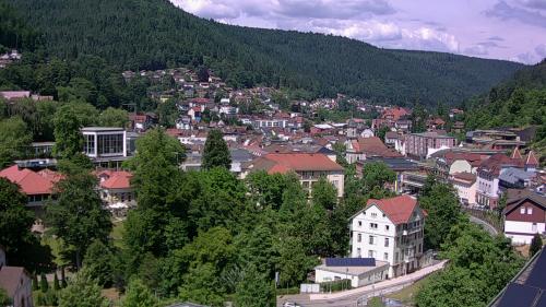 Webcam Bad Wildbad