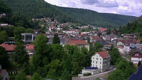 Webcam Bad Wildbad