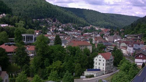 Webcam Bad Wildbad