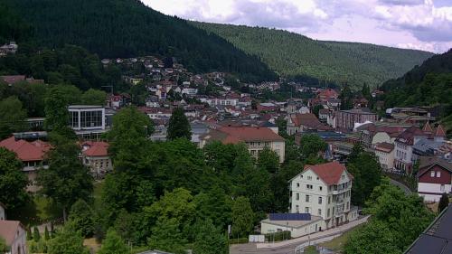 Webcam Bad Wildbad