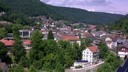 Webcam Bad Wildbad