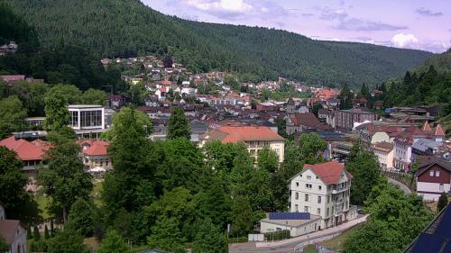 Webcam Bad Wildbad