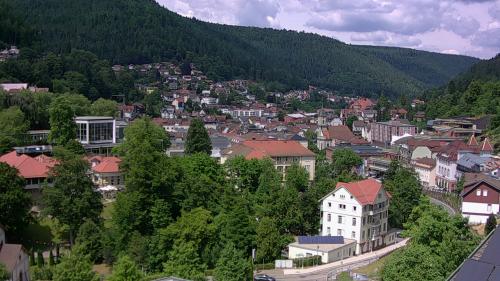 Webcam Bad Wildbad