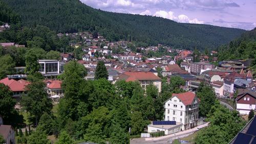 Webcam Bad Wildbad