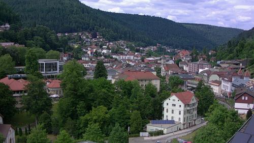 Webcam Bad Wildbad