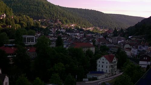 Webcam Bad Wildbad