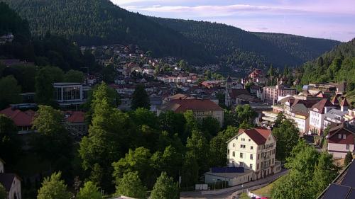 Webcam Bad Wildbad
