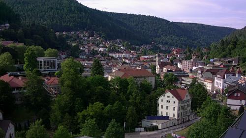 Webcam Bad Wildbad