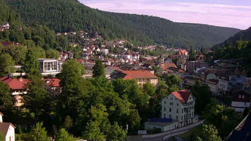 Webcam Bad Wildbad