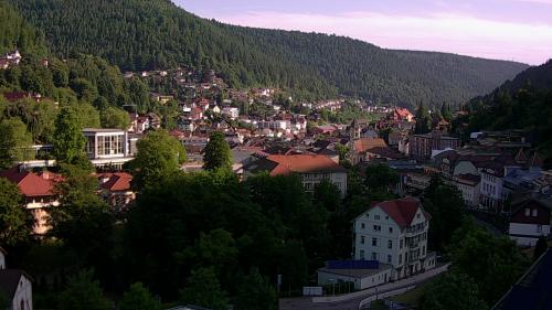 Webcam Bad Wildbad