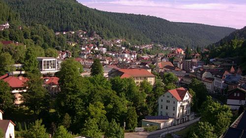 Webcam Bad Wildbad